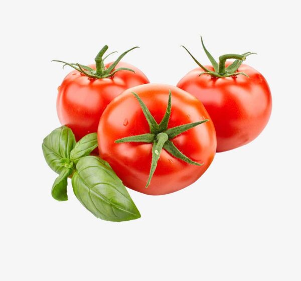 Tomate redondo